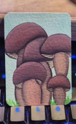 Mushrooms.jpg